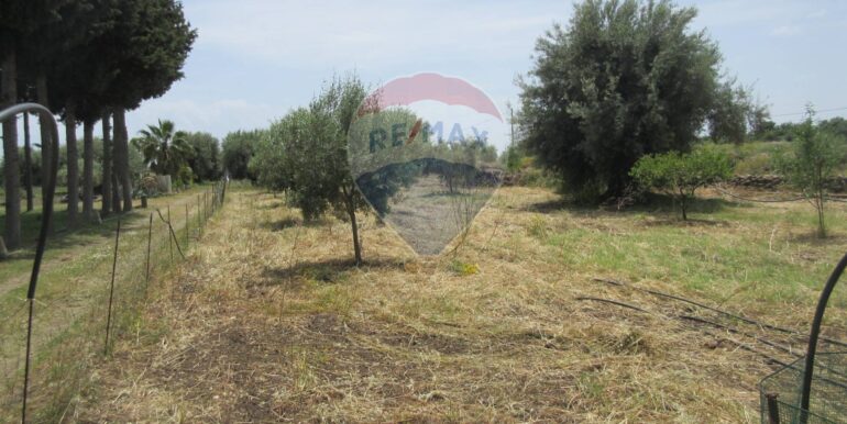 2025062482004-959999-12