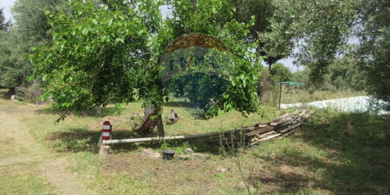 2025062482007-959999-13