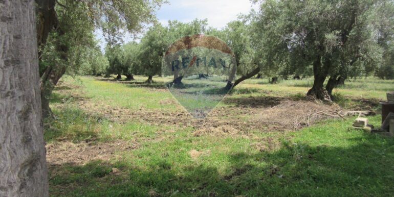 2025062482009-959999-14