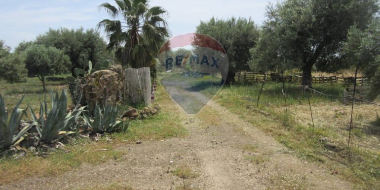 2025062482012-959999-15