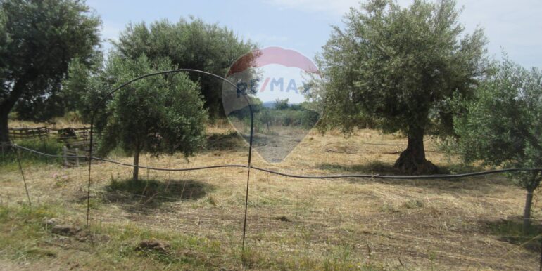 2025062482014-959999-16