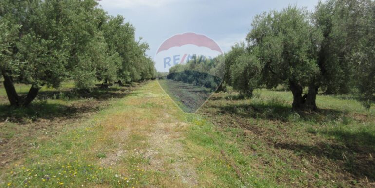 2025062482017-959999-17