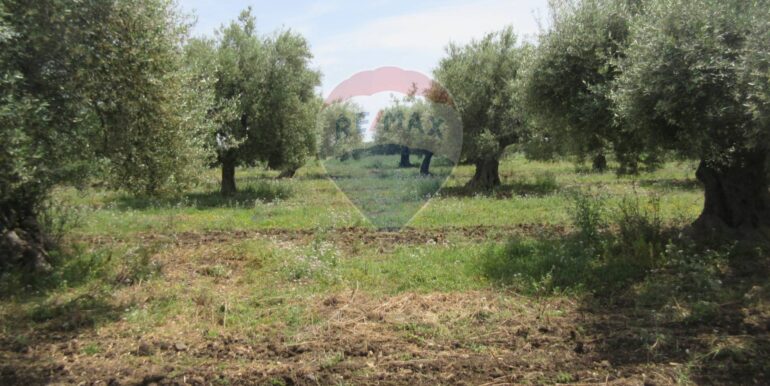 2025062482019-959999-18