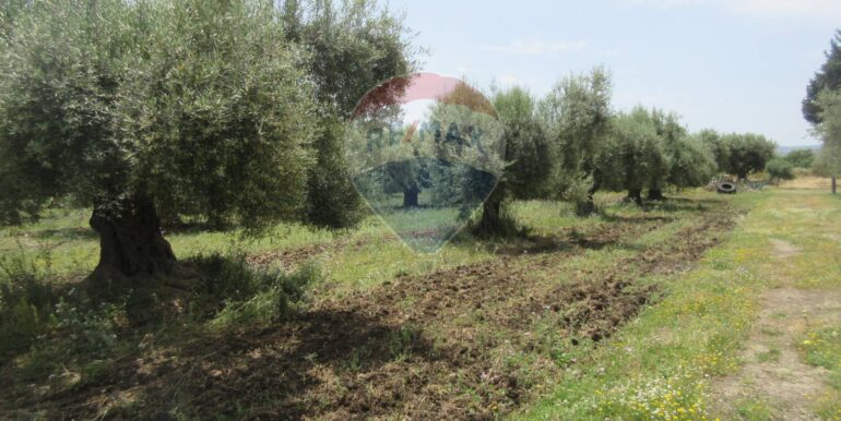 2025062482021-959999-19