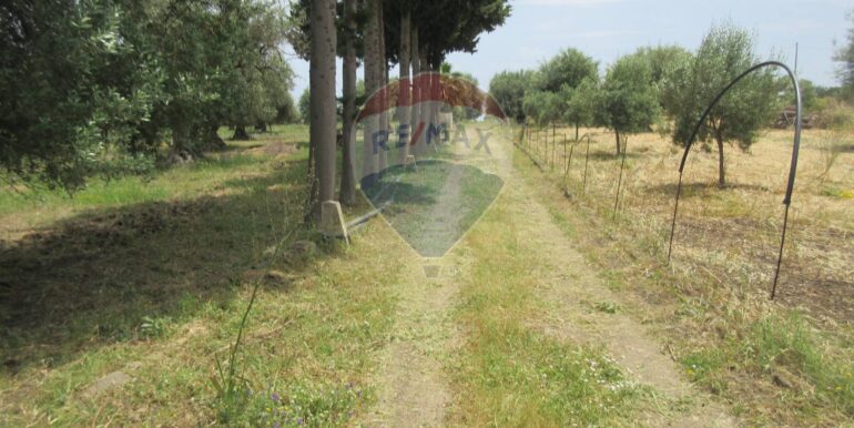 2025062482129-959999-50