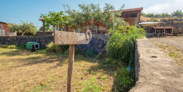 20250625112541-960622-2