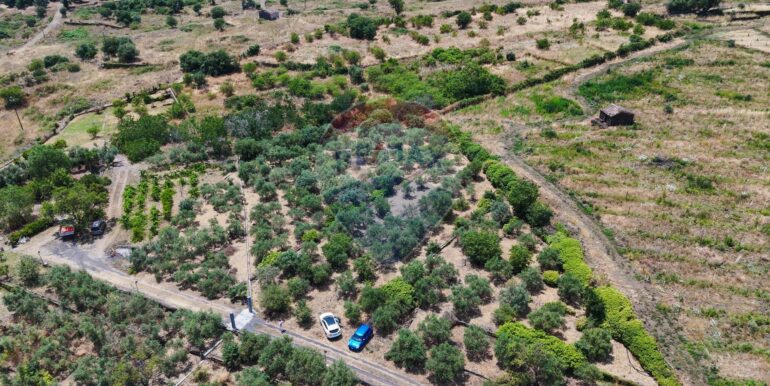 20250625165619-952049-12