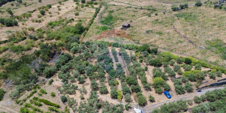 20250625165636-952049-17