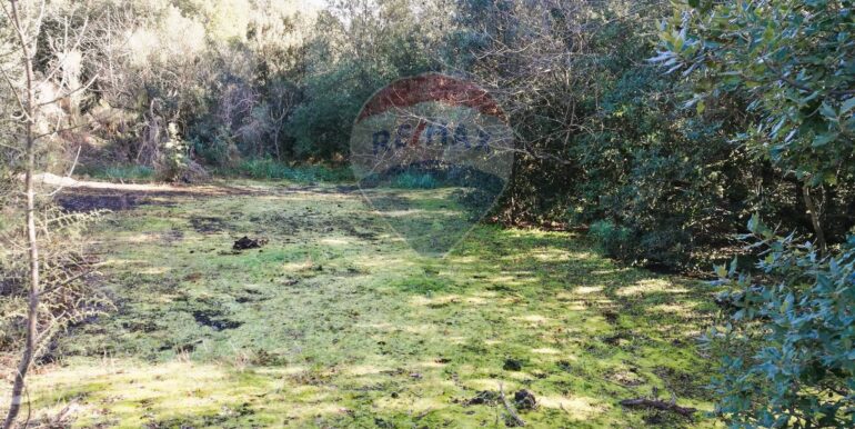 20250626101026-962314-1