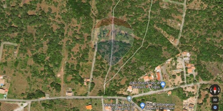 20250626101029-962314-4