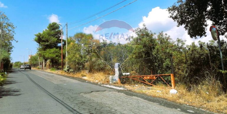 20250626101031-962314-6