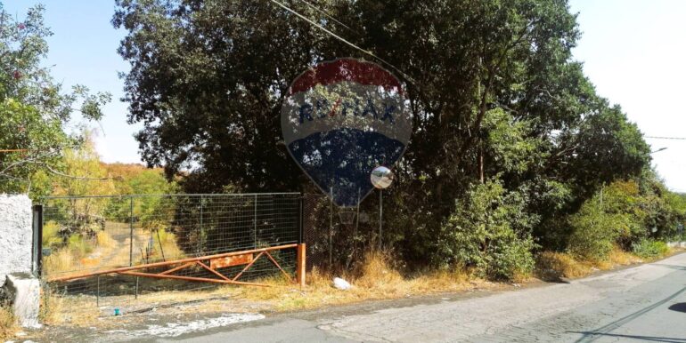 20250626101032-962314-8