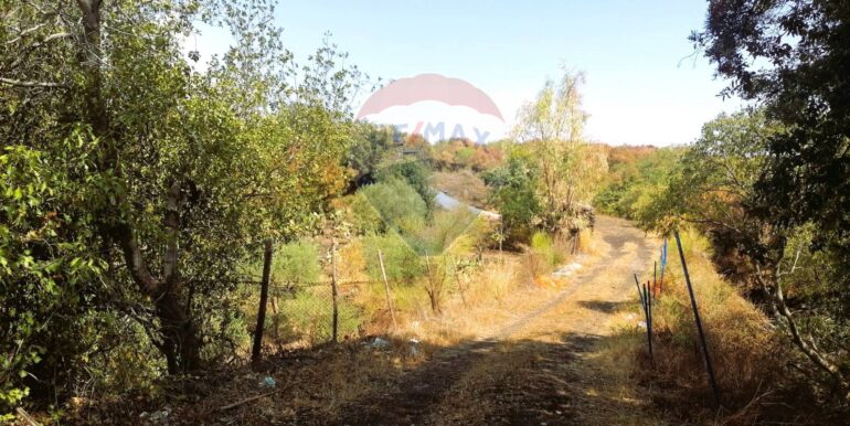 20250626101040-962314-15