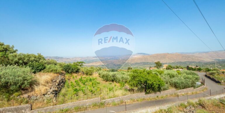 20250626115536-960626-5