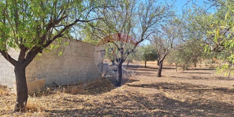 20250626120618-962352-0