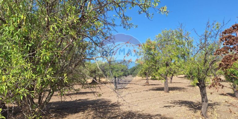 20250626120619-962352-1