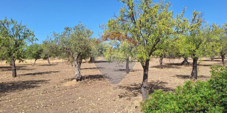 20250626120619-962352-2