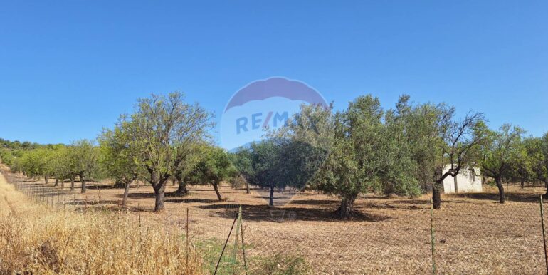 20250626120619-962352-4