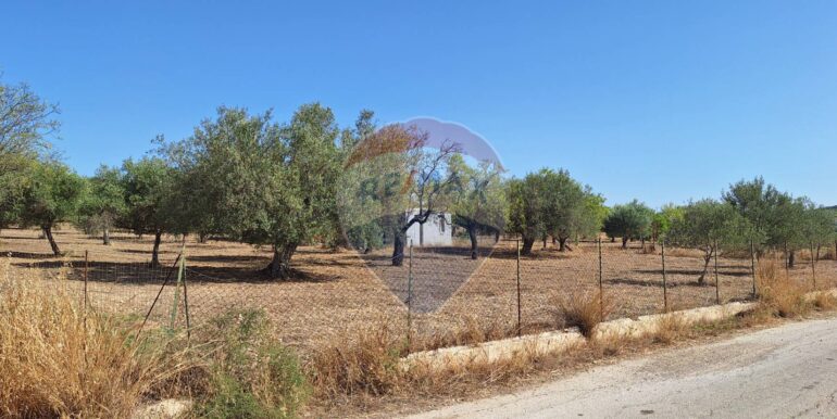 20250626120620-962352-5