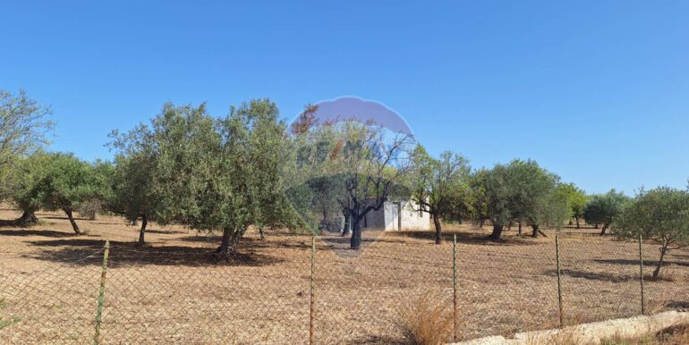 20250626120620-962352-6