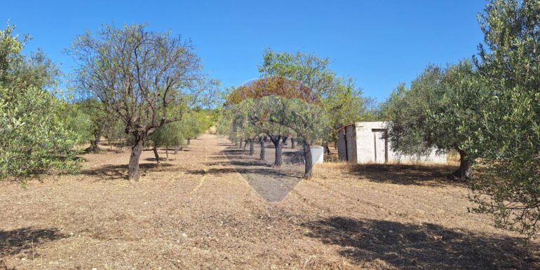 20250626120620-962352-7