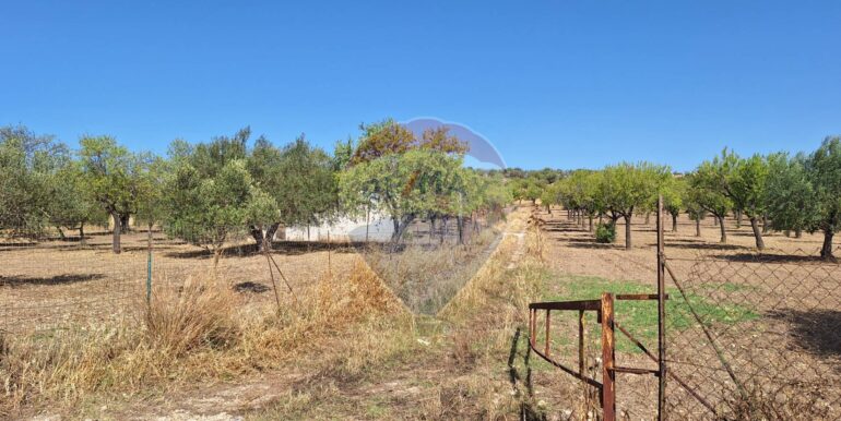 20250626120620-962352-8