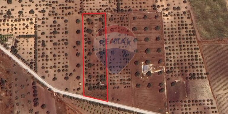 20250626120621-962352-9