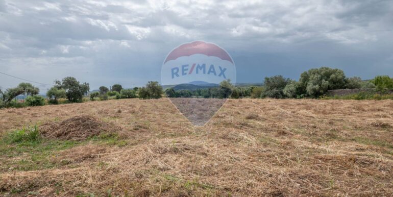 20250626154158-944845-6