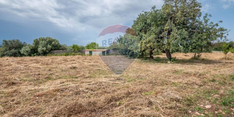 20250626154201-944845-7