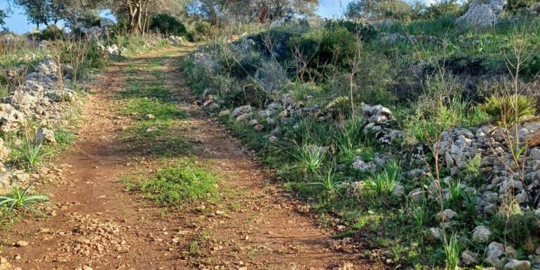 20250627175513-963169-3