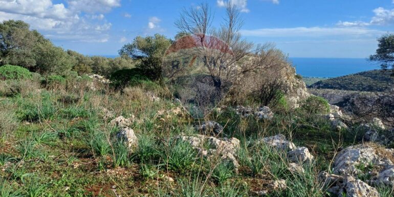 20250627175515-963169-4