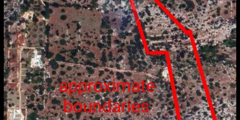 20250627175517-963169-5