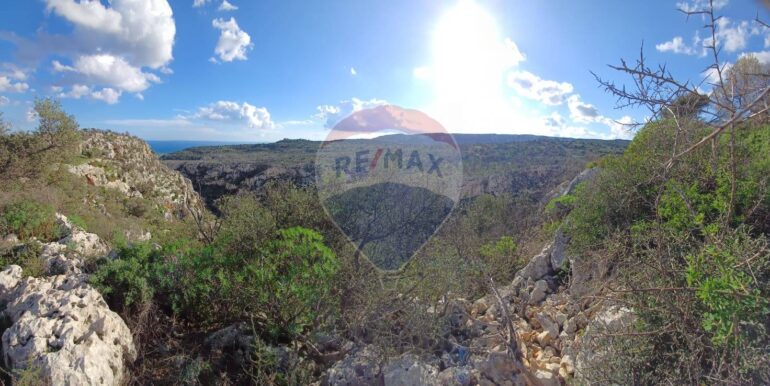 20250627175519-963169-7