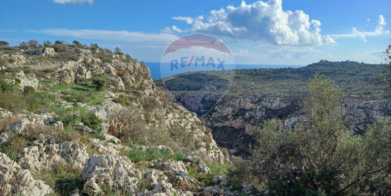 20250627175521-963169-8