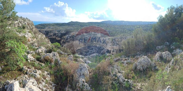 20250627175522-963169-9