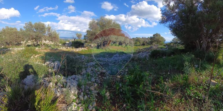 20250627175524-963169-10