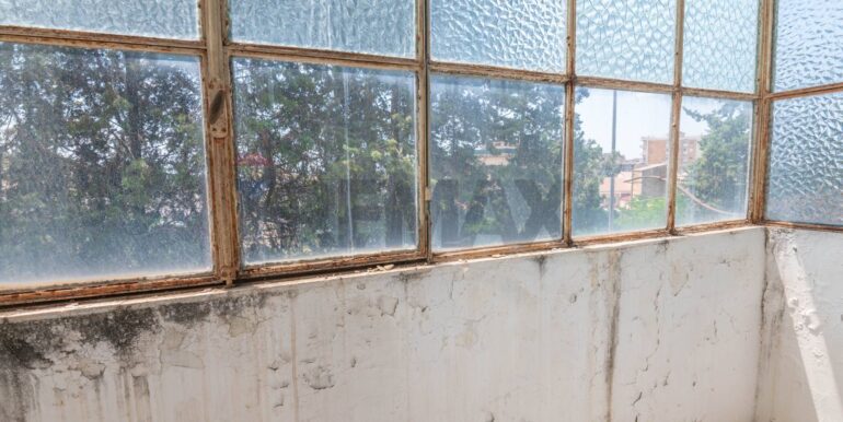 20250630115656-956483-4