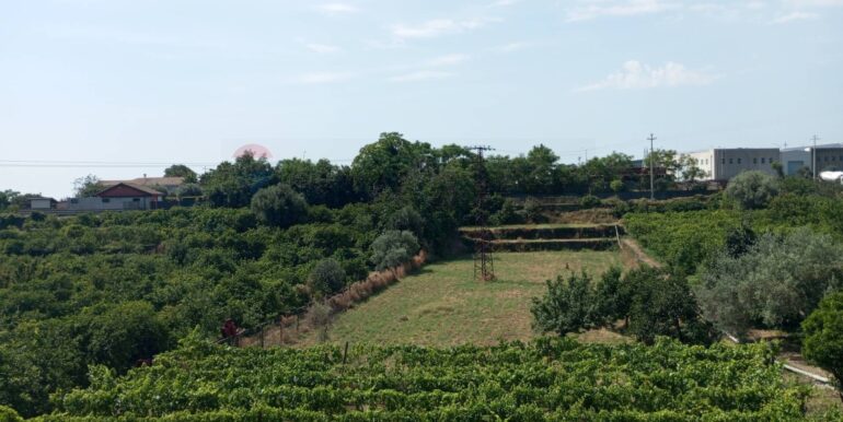 20250630121800-963407-8