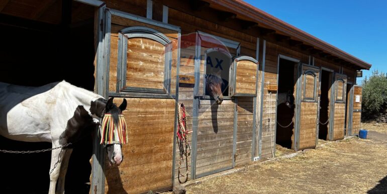 2025070193307-960622-62