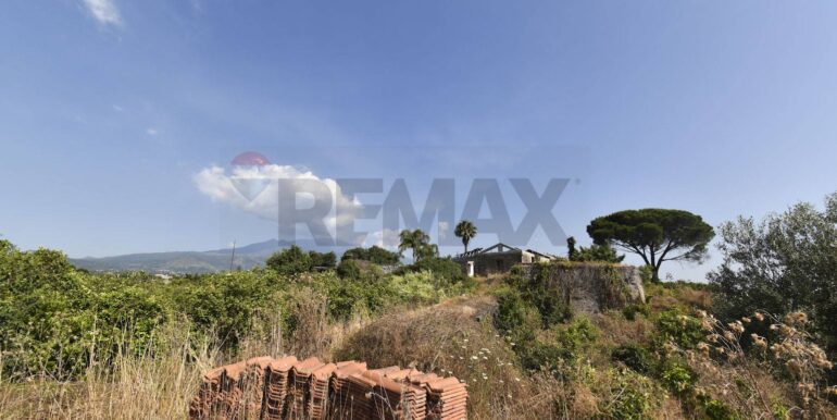 20250702110140-963945-2