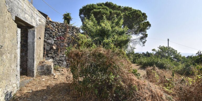 20250702110150-963945-7