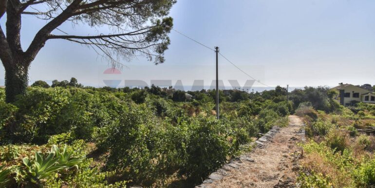 20250702110156-963945-9