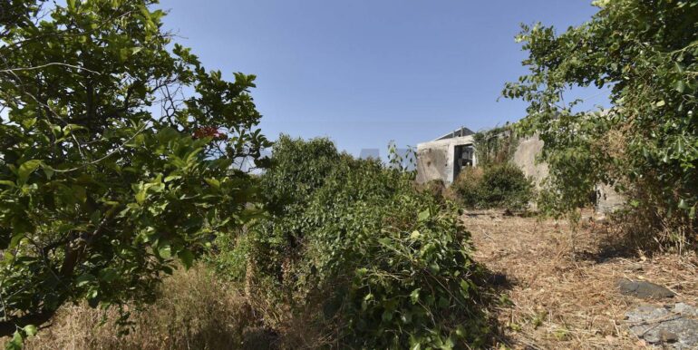 20250702110200-963945-10