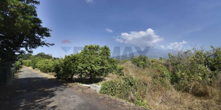 20250702110319-963945-34