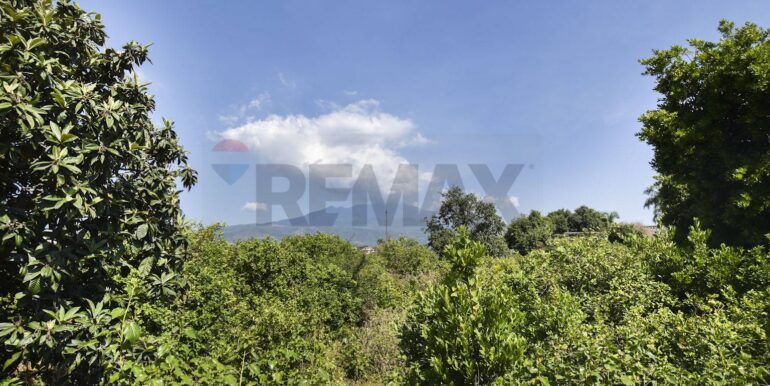 20250702110340-963945-41