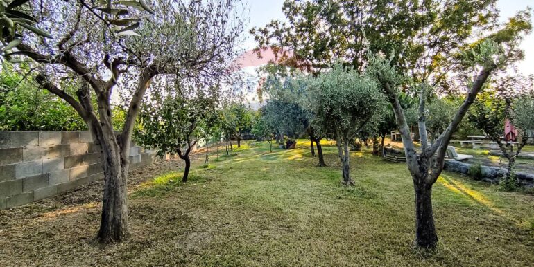 20250702112512-963973-11