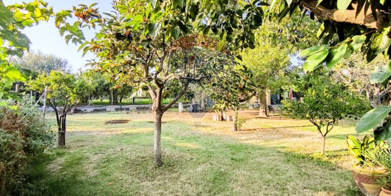 20250702112513-963973-13