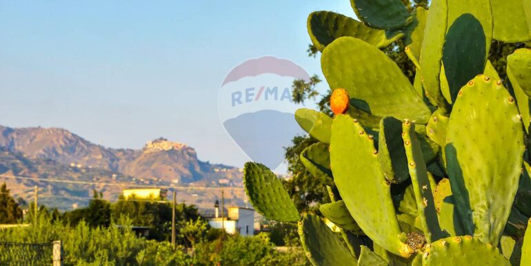 20250702112514-963973-15