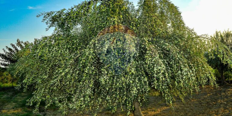 20250702112514-963973-16