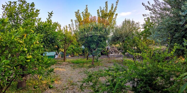 20250702112515-963973-18